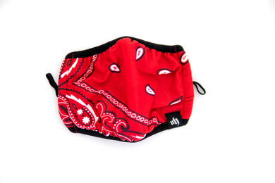 MH - Red Paisley Cut and Sew - Face mask
